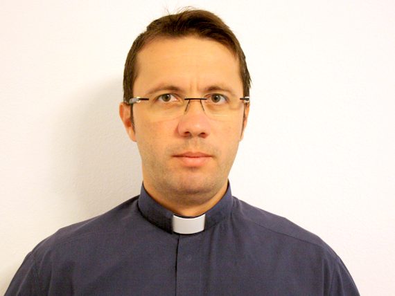 Pr. Sergiu-Alin Pal 