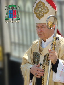 foto IPS cu stema4web