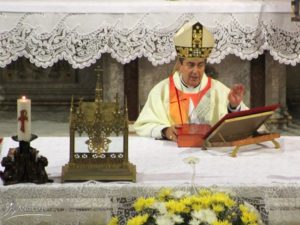 procesiuneip2_23102016_4