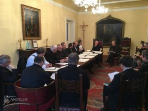 consiliu-pastoral_21112016_1