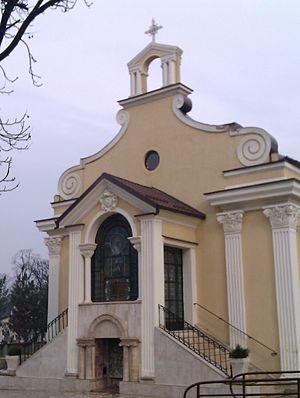 Tereza1