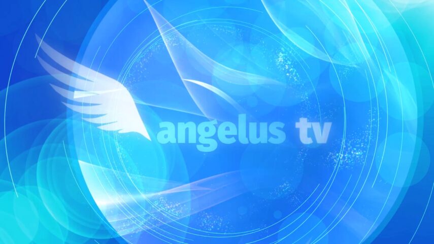 angelus cover