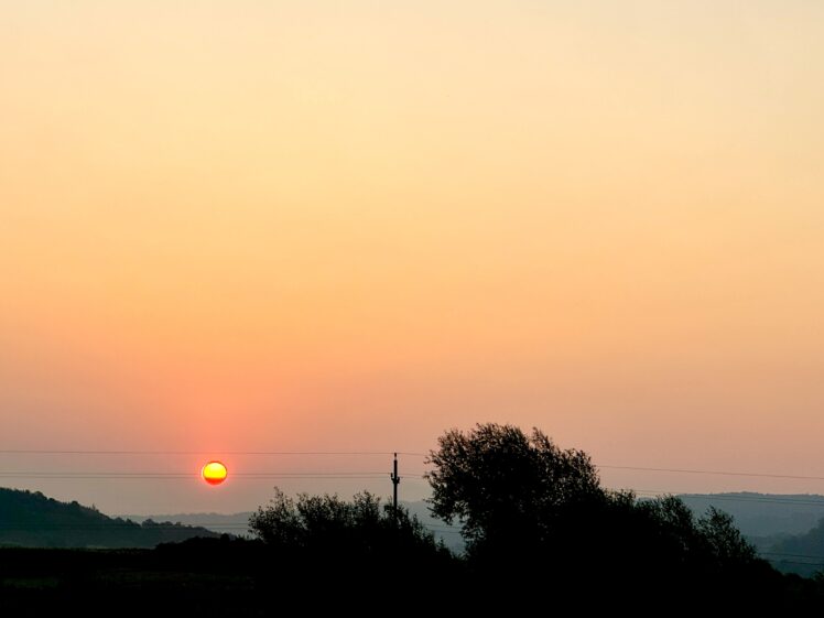 IMG_5017